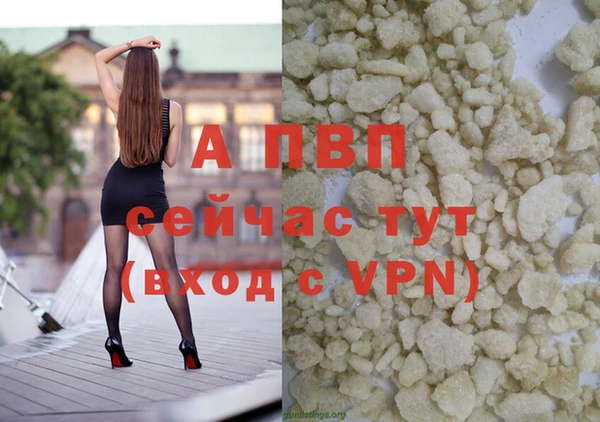 ПСИЛОЦИБИНОВЫЕ ГРИБЫ Михайлов