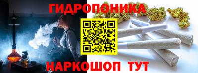 ешки Абакан