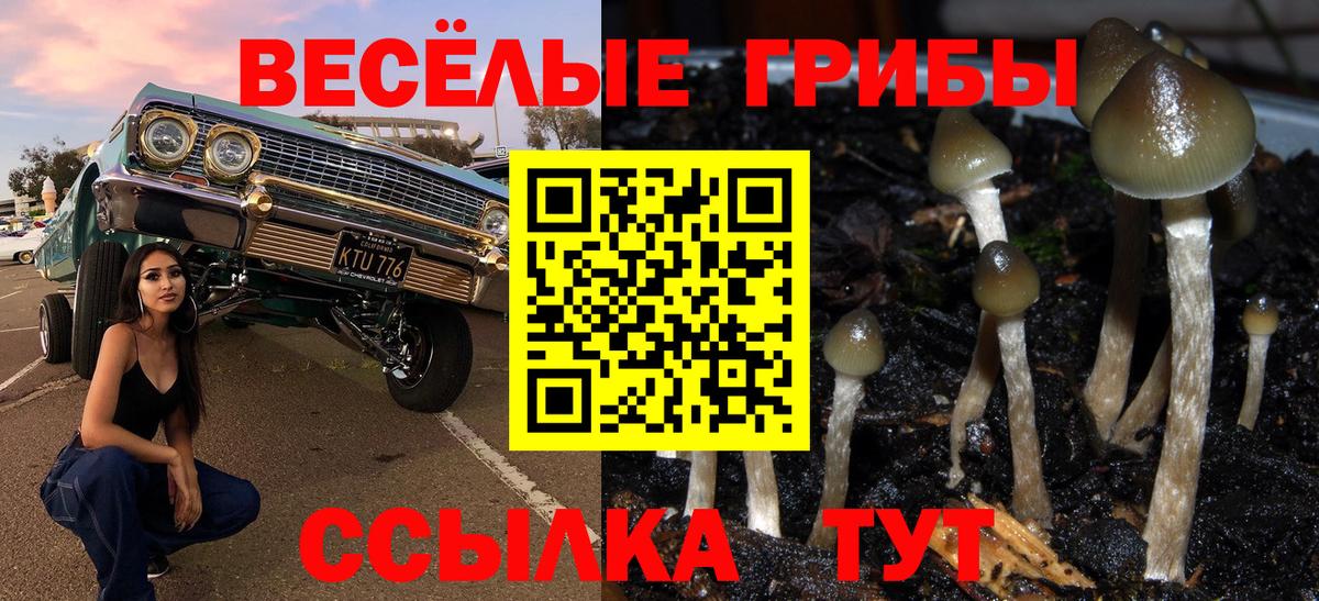 Галлюциногенные грибы Cubensis  Вход с VPN  купить наркоту  Ангарск  Галлюциногенные грибы GOLDEN TEACHER 