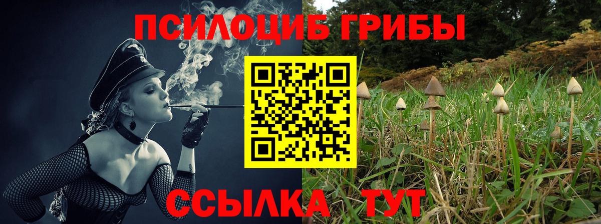 Псилоцибиновые грибы MAGIC MUSHROOMS  Ангарск 