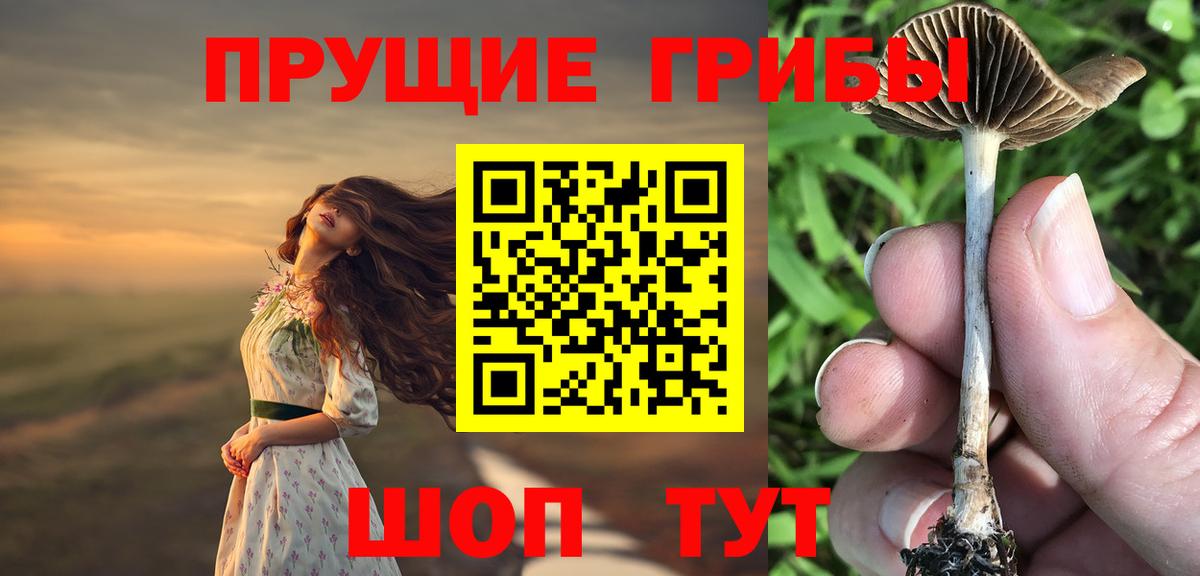 Псилоцибиновые грибы Psilocybine cubensis Ангарск